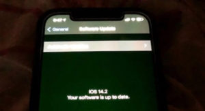 苹果回应iPhone 12系列绿屏问题