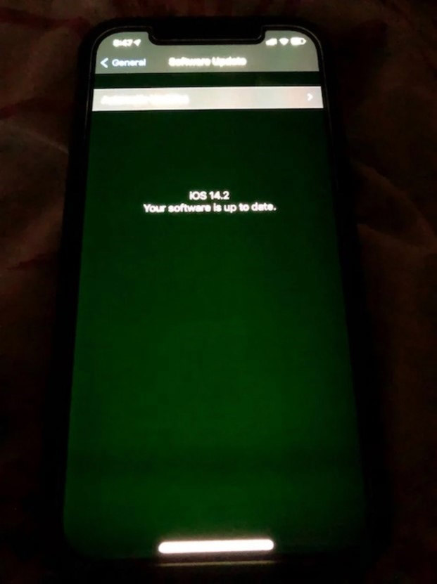 苹果承认iPhone 12系列存在绿屏问题