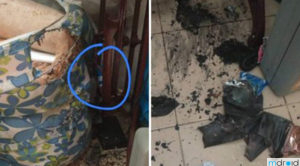 网传第三起YES Altitude 3手机起火燃烧