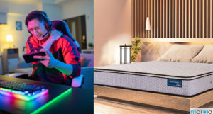 Vono SpinePro Plus抗静电床褥发布