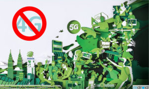 Maxis网络出问题