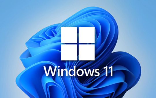 不能升级Windows 11