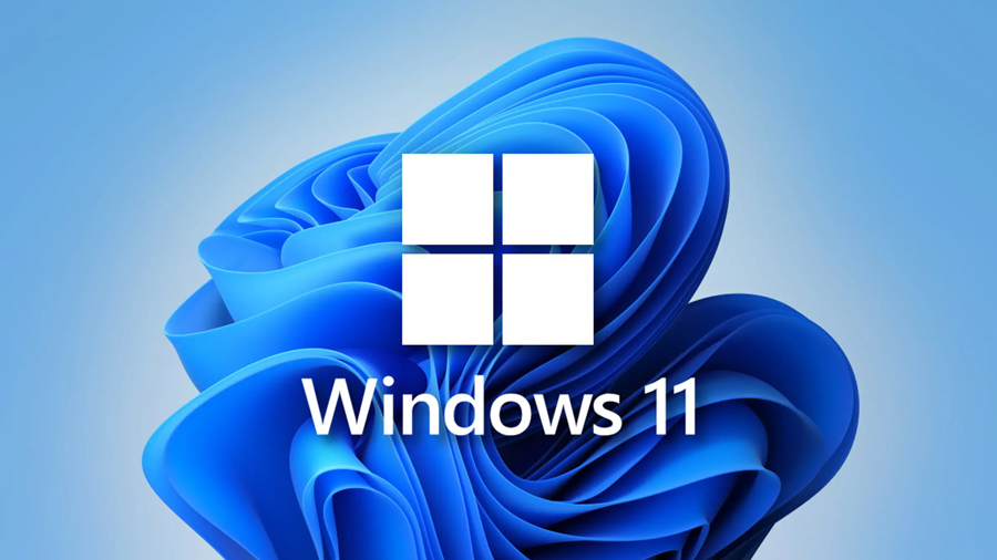 不能升级Windows 11