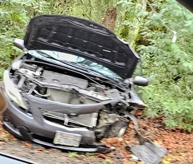 Tesla Cybertruck撞Toyota Corolla，前者几乎无损后者全毁！ 1