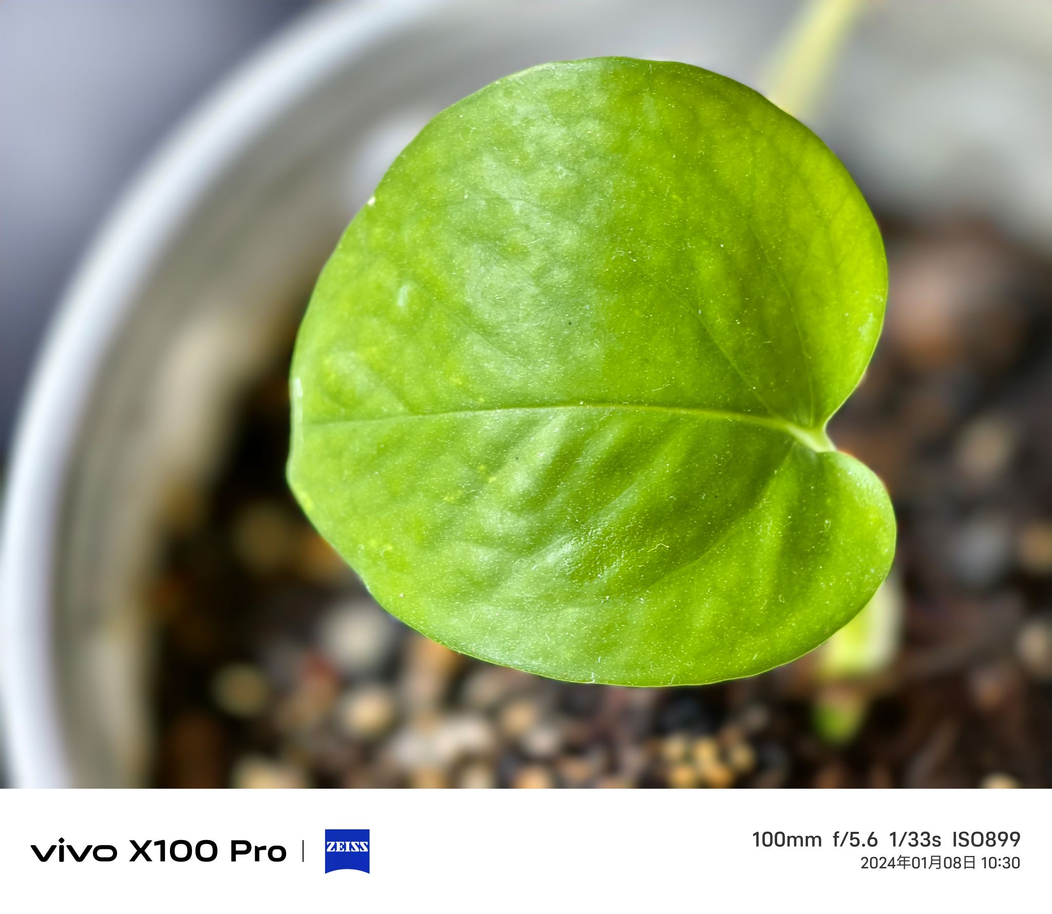 vivo X100系列：行业首发蔡司APO浮动长焦镜头，重新定义手机影像！ 39