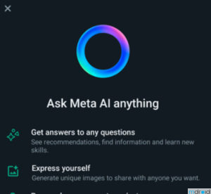 Meta AI聊天机器人登陆WhatsApp