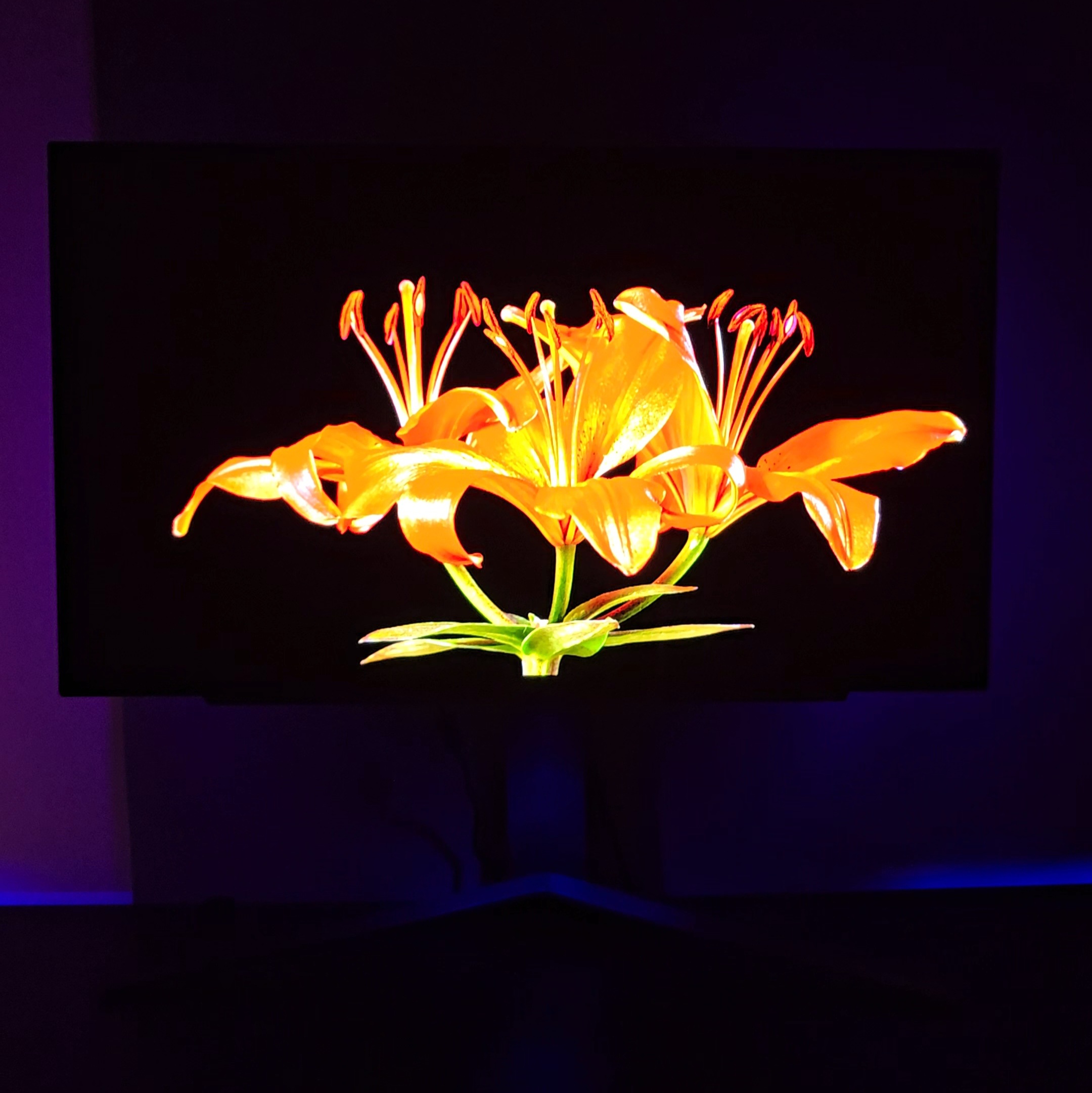 LG UltraGear™ OLED 电竞显示器：让你体验前所未有的沉浸感 2