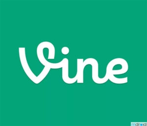马斯克将重启Vine短视频平台 对抗Tiktok和Meta 2