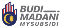 因系统问题错过BUDI95补贴
