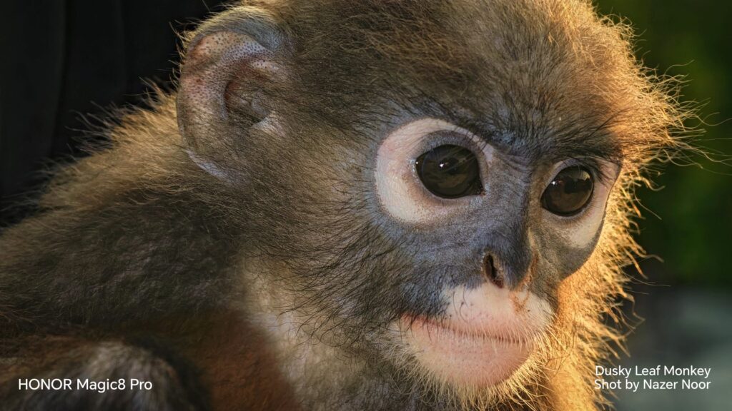 HONOR Magic8 Pro 荣膺“2026大马旅游年”官方指定影像设备 HONOR Magic8 Pro 荣膺“2026大马旅游年”官方指定影像设备 11